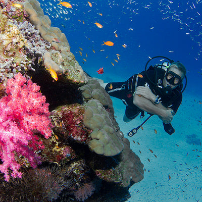 LIVEABOARD 7 days / 6 nights - Similan, Koh Bon, Koh Tachai, Richelieu, Surin Islands